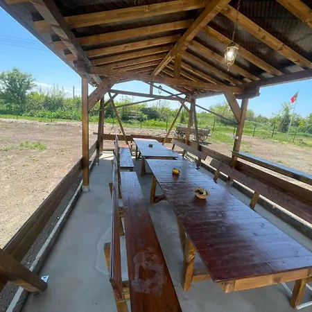 къща стария елен